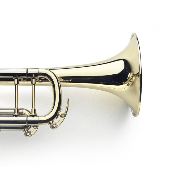 glossy, raw brass