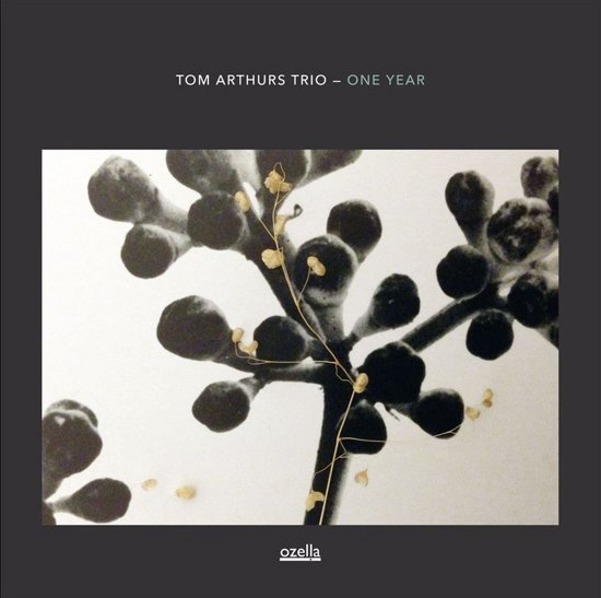 Tom Arthurs Trio | ONE YEAR