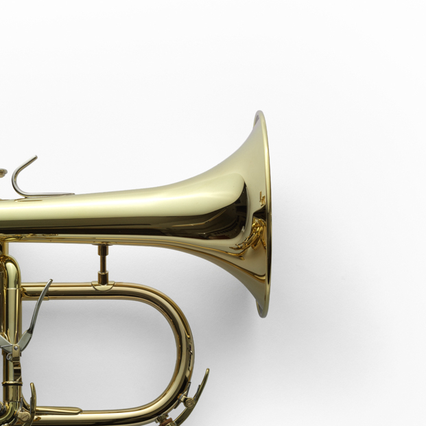 If you're after a flugelhorn with a commanding, dark tone that