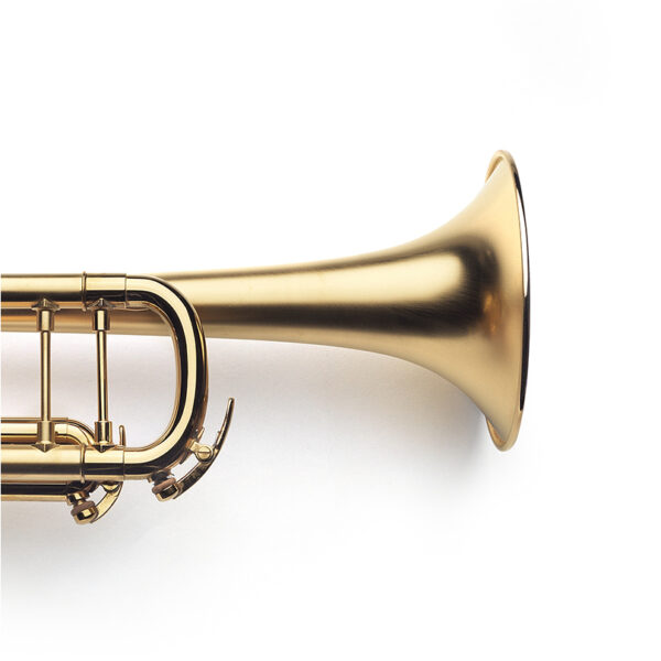 brushed, gold-plated