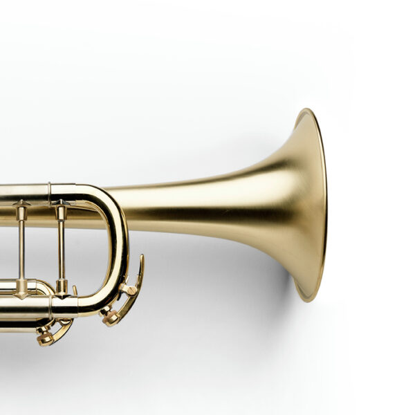 brushed, raw brass