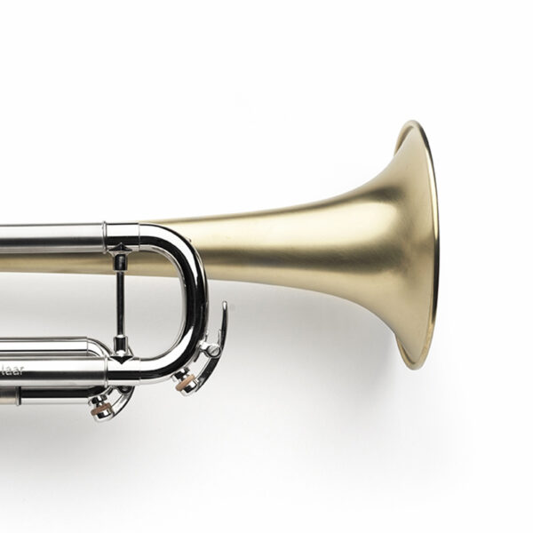 brushed, raw brass bell, palladium-plated corpus